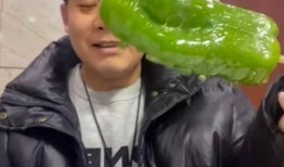 网红张焕吃瓜,揭秘网红圈背后的那些事儿