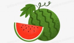 吃瓜场景手绘视频下载免费,免费手绘视频带你领略吃瓜场景魅力